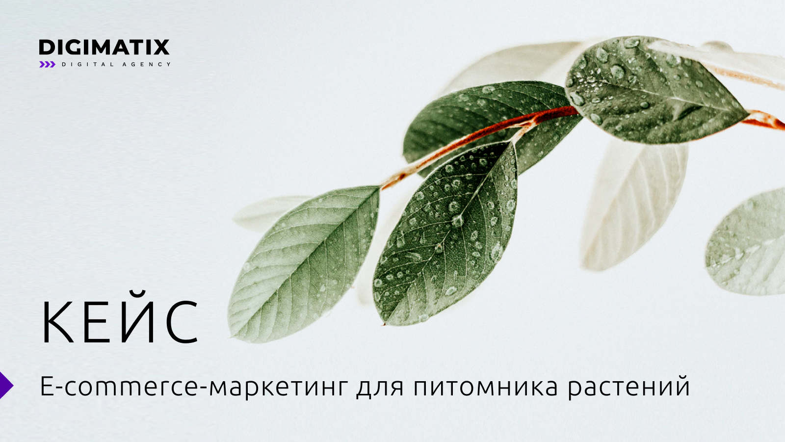 E-commerce маркетинг для питомника растений